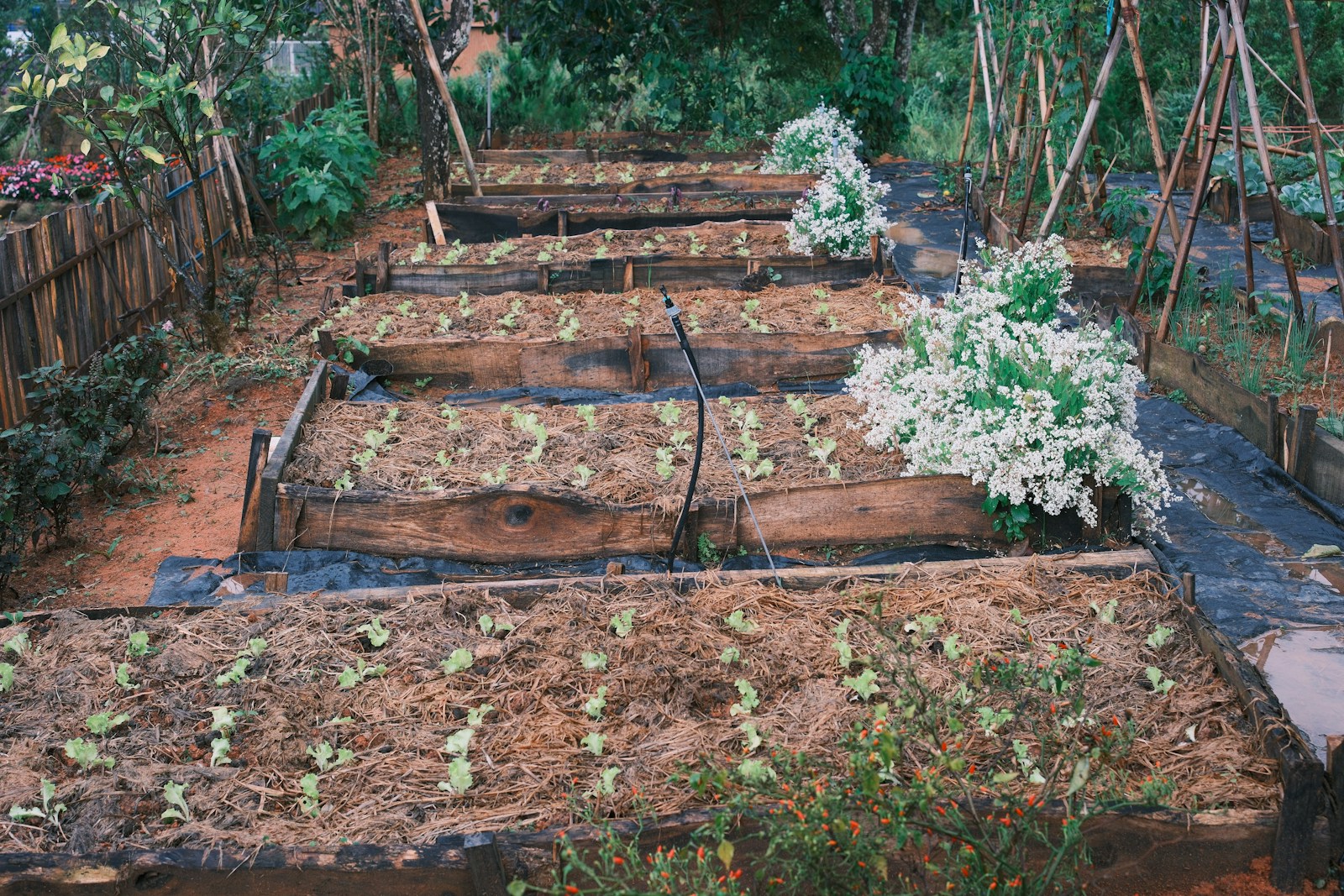 Canteiro elevado com terra preparada para plantio